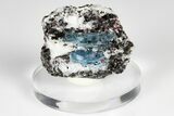 Blue Kyanite & Garnet in Biotite-Quartz Schist - Russia #178943-1